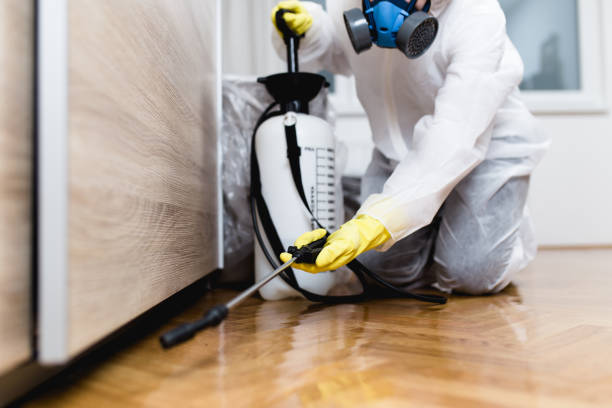Best Termite Control Services  in Cresskill, NJ