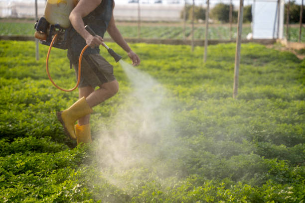 Best Affordable Pest Control Services  in Cresskill, NJ