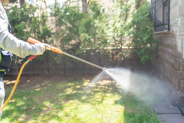 Best Wasp Removal Services  in Cresskill, NJ
