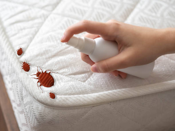 Best Pest Inspection Near Me  in Cresskill, NJ