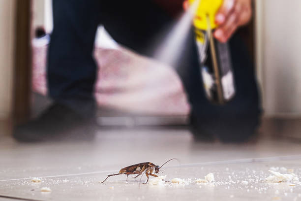 Best Local Pest Control Services  in Cresskill, NJ