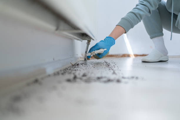 Best Flea Control Services  in Cresskill, NJ